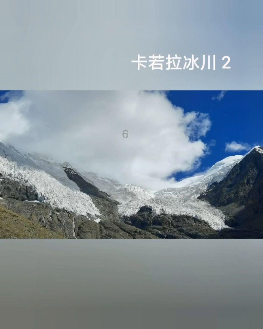 查处某木材检测机构出具虚假报告案的思考