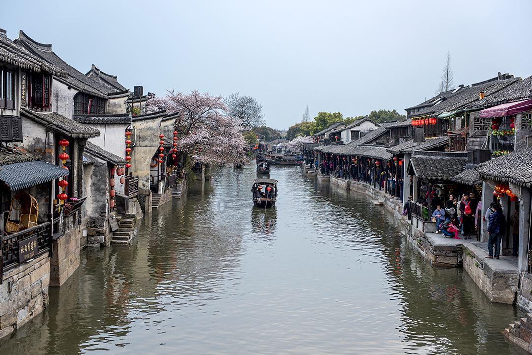 原来亦菲竟然没死，当年假死是外婆默许，真相太心酸